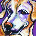 Daisey