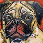 Pug